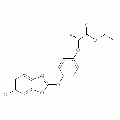 anti-HYAL1 antibody (Hyaluronidase-1) (N-Term)