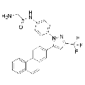 anti-HYAL1 antibody (Hyaluronidase-1) (N-Term)