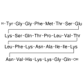 anti-HYAL1 antibody (Hyaluronidase-1) (N-Term)