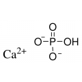 anti-HYAL1 antibody (Hyaluronidase-1) (N-Term)