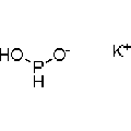 anti-HYAL1 antibody (Hyaluronidase-1) (N-Term)