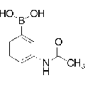 anti-HYAL1 antibody (Hyaluronidase-1) (N-Term)