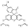 anti-HYAL1 antibody (Hyaluronidase-1) (N-Term)