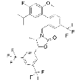 anti-HYAL1 antibody (Hyaluronidase-1) (N-Term)