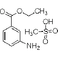 anti-HYAL1 antibody (Hyaluronidase-1) (N-Term)
