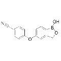 anti-HYAL1 antibody (Hyaluronidase-1) (N-Term)