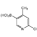 anti-HYAL1 antibody (Hyaluronidase-1) (N-Term)