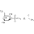 anti-HYAL1 antibody (Hyaluronidase-1) (N-Term)