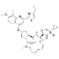 anti-HYAL1 antibody (Hyaluronidase-1) (N-Term)
