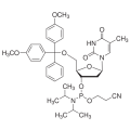anti-HYAL1 antibody (Hyaluronidase-1) (N-Term)