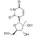 anti-HYAL1 antibody (Hyaluronidase-1) (N-Term)