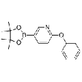 anti-HYAL1 antibody (Hyaluronidase-1) (N-Term)