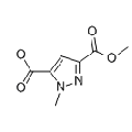 anti-HYAL1 antibody (Hyaluronidase-1) (N-Term)