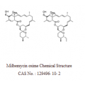 anti-HYAL1 antibody (Hyaluronidase-1) (N-Term)