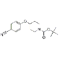 anti-HYAL1 antibody (Hyaluronidase-1) (N-Term)