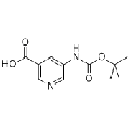 anti-HYAL1 antibody (Hyaluronidase-1) (N-Term)