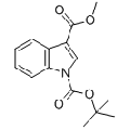 anti-HYAL1 antibody (Hyaluronidase-1) (N-Term)