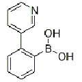 anti-HYAL1 antibody (Hyaluronidase-1) (N-Term)