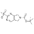 anti-HYAL1 antibody (Hyaluronidase-1) (N-Term)
