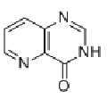 anti-HYAL1 antibody (Hyaluronidase-1) (N-Term)