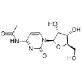 anti-HYAL1 antibody (Hyaluronidase-1) (N-Term)