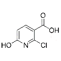 anti-HYAL1 antibody (Hyaluronidase-1) (N-Term)