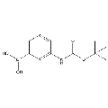 anti-HYAL1 antibody (Hyaluronidase-1) (N-Term)