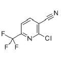 anti-HYAL1 antibody (Hyaluronidase-1) (N-Term)