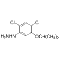 anti-HYAL1 antibody (Hyaluronidase-1) (N-Term)