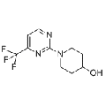 anti-HYAL1 antibody (Hyaluronidase-1) (N-Term)