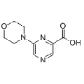 anti-HYAL1 antibody (Hyaluronidase-1) (N-Term)