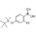 anti-HYAL1 antibody (Hyaluronidase-1) (N-Term)