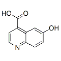 anti-HYAL1 antibody (Hyaluronidase-1) (N-Term)