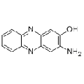 anti-HYAL1 antibody (Hyaluronidase-1) (N-Term)
