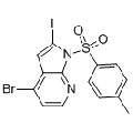 anti-HYAL1 antibody (Hyaluronidase-1) (N-Term)