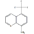 anti-HYAL1 antibody (Hyaluronidase-1) (N-Term)