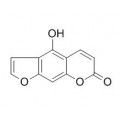 anti-HYAL1 antibody (Hyaluronidase-1) (N-Term)