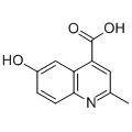 anti-HYAL1 antibody (Hyaluronidase-1) (N-Term)