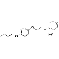 anti-HYAL1 antibody (Hyaluronidase-1) (N-Term)