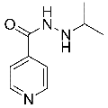 anti-HYAL1 antibody (Hyaluronidase-1) (N-Term)