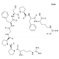 anti-HYAL1 antibody (Hyaluronidase-1) (N-Term)