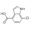 anti-HYAL1 antibody (Hyaluronidase-1) (N-Term)