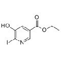 anti-HYAL1 antibody (Hyaluronidase-1) (N-Term)