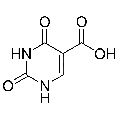anti-HYAL1 antibody (Hyaluronidase-1) (N-Term)