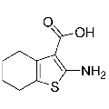 anti-HYAL1 antibody (Hyaluronidase-1) (N-Term)