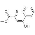 anti-HYAL1 antibody (Hyaluronidase-1) (N-Term)
