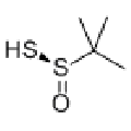 anti-HYAL1 antibody (Hyaluronidase-1) (N-Term)