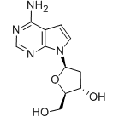 anti-HYAL1 antibody (Hyaluronidase-1) (N-Term)