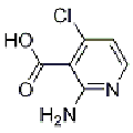 anti-HYAL1 antibody (Hyaluronidase-1) (N-Term)
