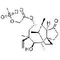 anti-HYAL1 antibody (Hyaluronidase-1) (N-Term)